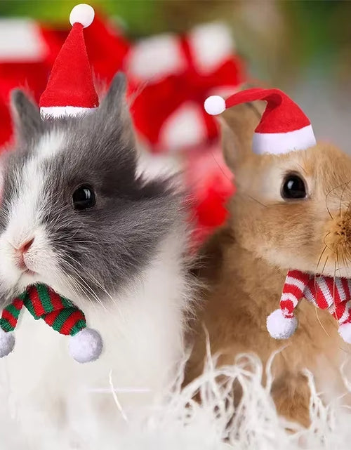 Load image into Gallery viewer, 1 Set Hamster Christmas Costume Guinea Pig Mini Small Pet Hat Scarf Headwear Pet Outfits for Chinchilla Rabbit Bunny Accessories
