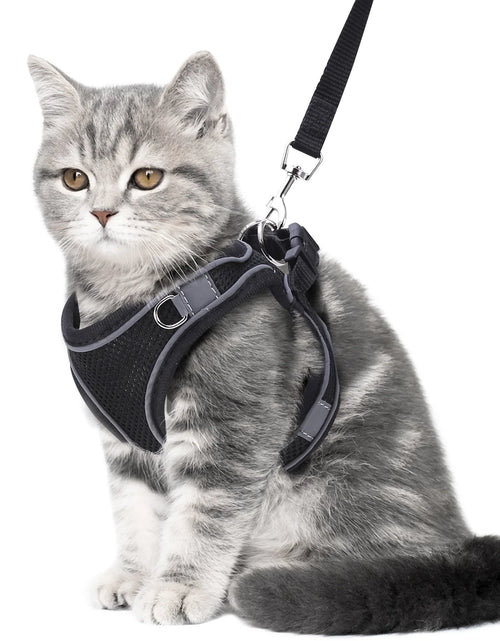 Load image into Gallery viewer, Cat Harness and Leash for Walking, Escape Proof Adjustable Cat Vest Harnesses, Easy Control Breathable Reflective Strips Jacket, Soft Harness for Puppy Small Medium Large Cats, Orange(Xxs)
