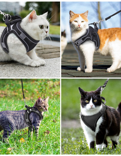 Load image into Gallery viewer, Cat Harness and Leash for Walking, Escape Proof Adjustable Cat Vest Harnesses, Easy Control Breathable Reflective Strips Jacket, Soft Harness for Puppy Small Medium Large Cats, Orange(Xxs)
