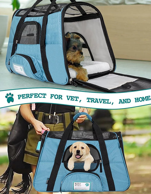 Load image into Gallery viewer, Premium Airline Approved Soft Sided Pet Carrier
