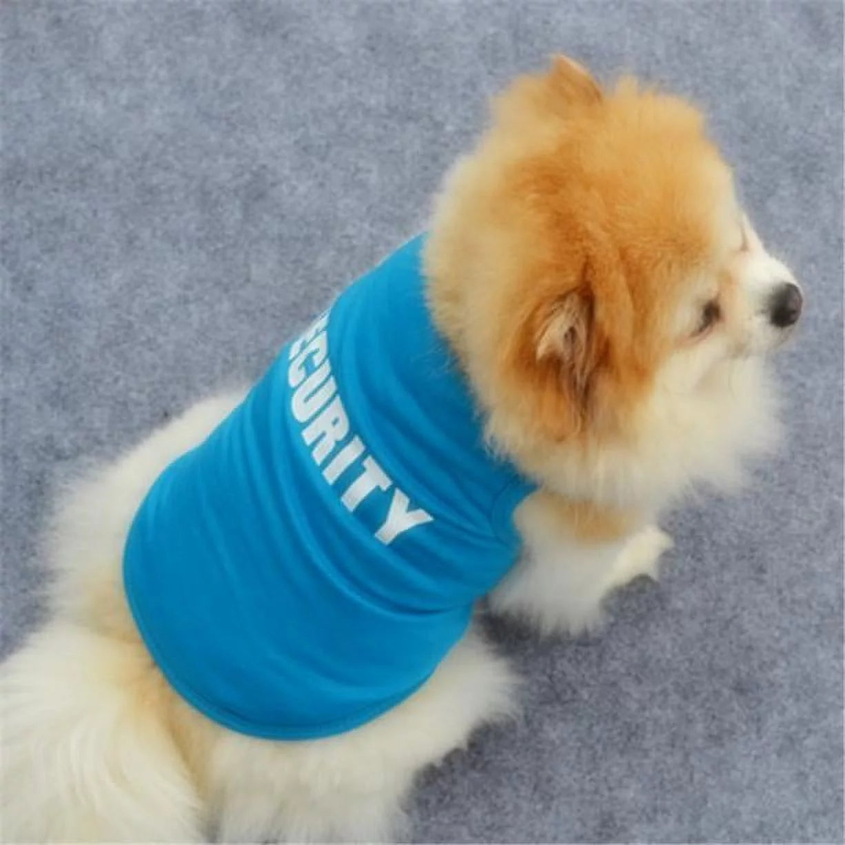 Dog Printed Pullover Small Dogs Shirt Tops Cat Dog Sweater Cute Pet Dress Winter Warm Vest Pet Dog Jacket Blue Small